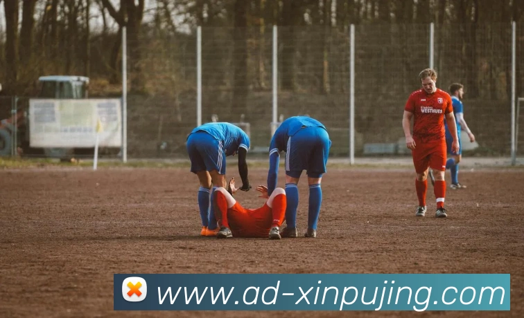 多媒体互动体验